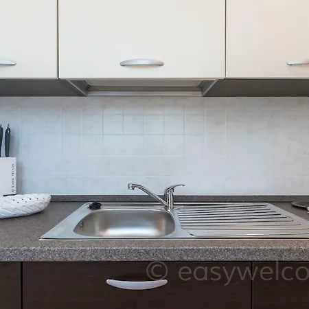 Easy Welcome Mimosa - *