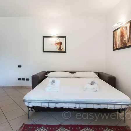 Easy Welcome Mimosa - *